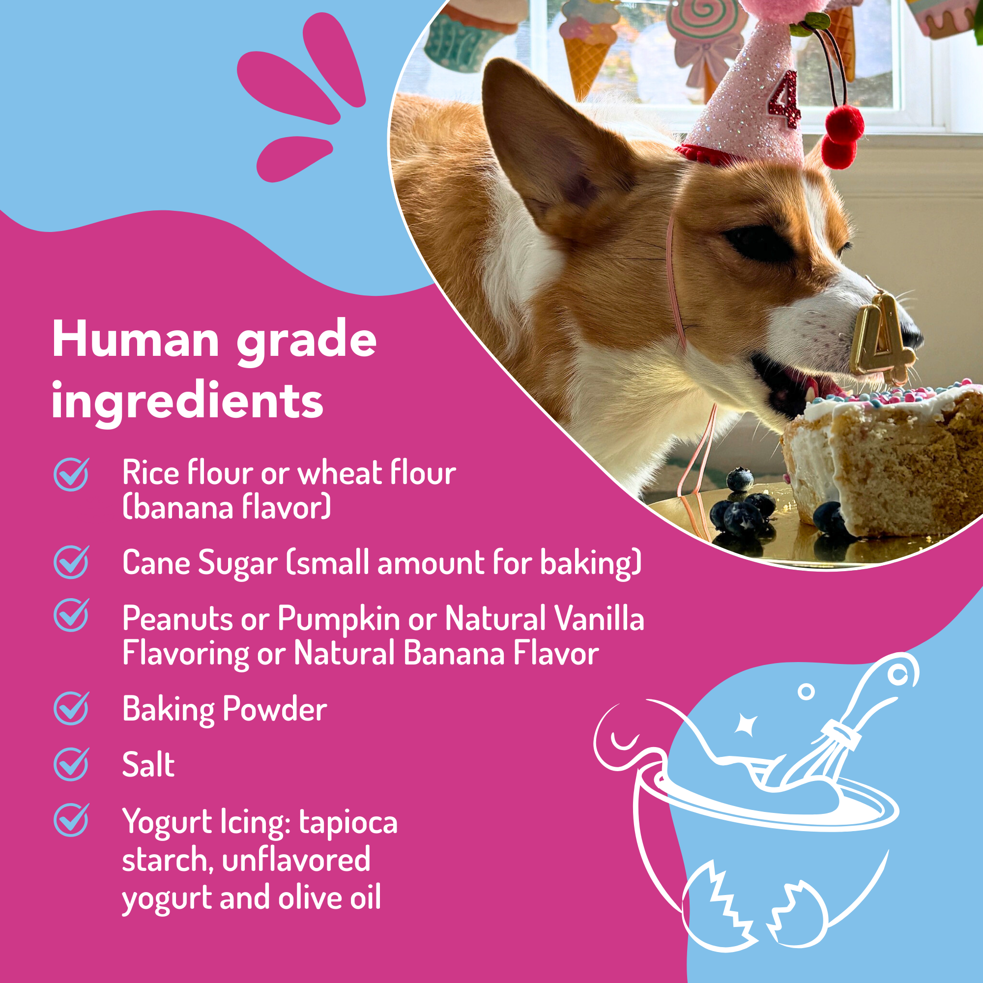 Dog Birthday Cake Kit